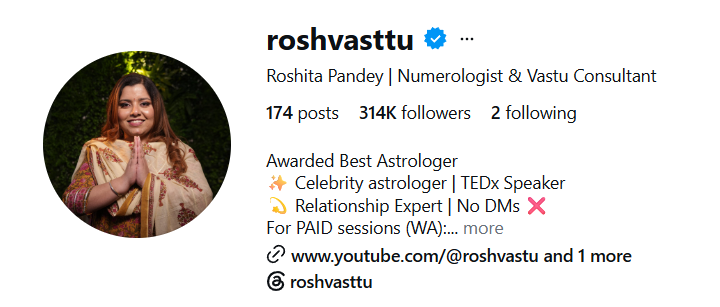 Instagram Profile Screenshot